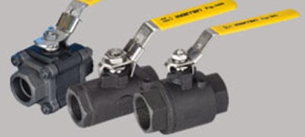 Carbon Steel Valves in Luxembourg
