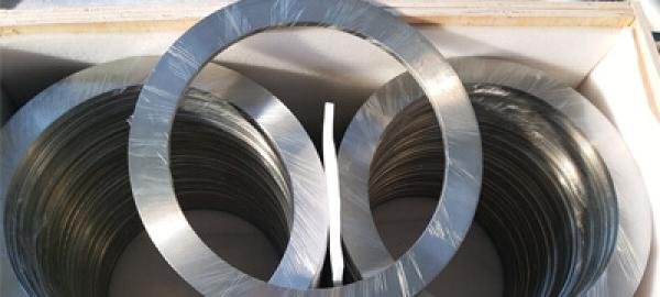 Stainless Steel 310 / 310S Rings in Egypt