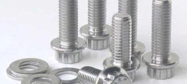Duplex Steel Fasteners in French Southern Territories